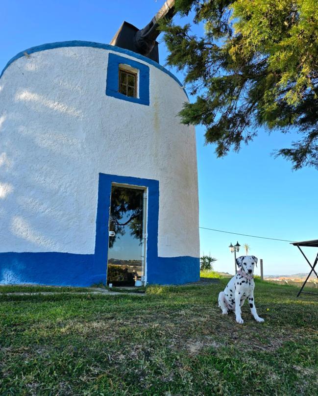 Willa Casal Do Moinho Enxara do Bispo Zewnętrze zdjęcie